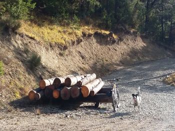 randonnées VTT